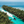 LUXE 5 DAY INDONESIA SEADOO/CANAM ADVENTURE