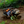 LUXE 5 DAY INDONESIA SEADOO/CANAM ADVENTURE